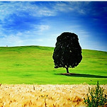 카페 프로필 이미지