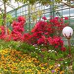 카페 프로필 이미지