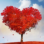 카페 프로필 이미지