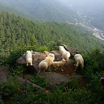 카페 프로필 이미지