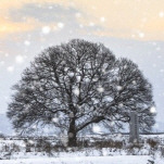 카페 프로필 이미지