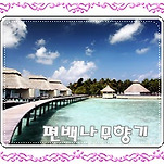 카페 프로필 이미지