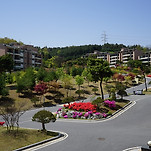 카페 프로필 이미지