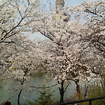 카페 프로필 이미지