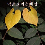 카페 프로필 이미지