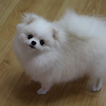 카페 프로필 이미지