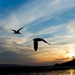 카페 프로필 이미지