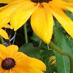 카페 프로필 이미지