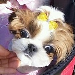카페 프로필 이미지