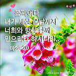 카페 프로필 이미지