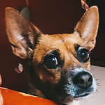 카페 프로필 이미지