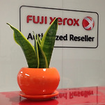 카페 프로필 이미지