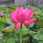 카페 프로필 이미지