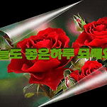 카페 프로필 이미지