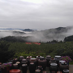 카페 프로필 이미지