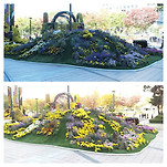 카페 프로필 이미지