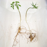 카페 프로필 이미지