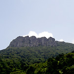 카페 프로필 이미지