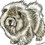 카페 프로필 이미지