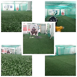 카페 프로필 이미지