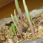 카페 프로필 이미지