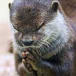 카페 프로필 이미지