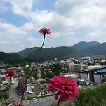 카페 프로필 이미지
