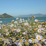 카페 프로필 이미지