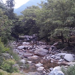 카페 프로필 이미지