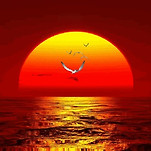 카페 프로필 이미지