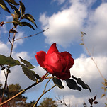 카페 프로필 이미지