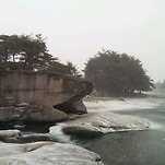 카페 프로필 이미지