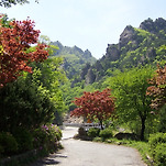 카페 프로필 이미지