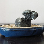 카페 프로필 이미지