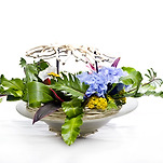 카페 프로필 이미지