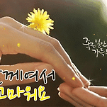카페 프로필 이미지