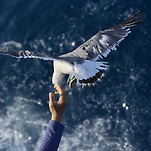 카페 프로필 이미지