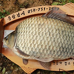 카페 프로필 이미지