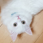 카페 프로필 이미지