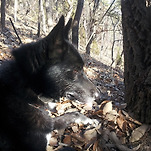 카페 프로필 이미지