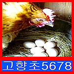 카페 프로필 이미지