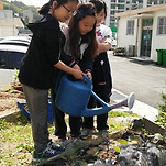 카페 프로필 이미지