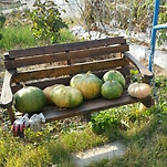 카페 프로필 이미지