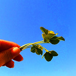 카페 프로필 이미지