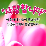 카페 프로필 이미지