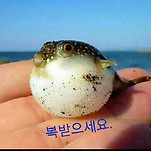 카페 프로필 이미지