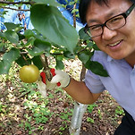 카페 프로필 이미지