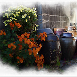 카페 프로필 이미지