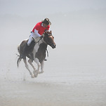 카페 프로필 이미지