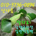 카페 프로필 이미지